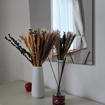Apartment Grazioso Bilocale A Legnano. *